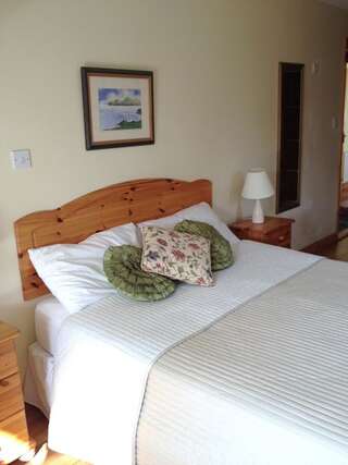 Отели типа «постель и завтрак» Yeats Lodge B&B Drumcliff Семейный номер с видом на сад-1